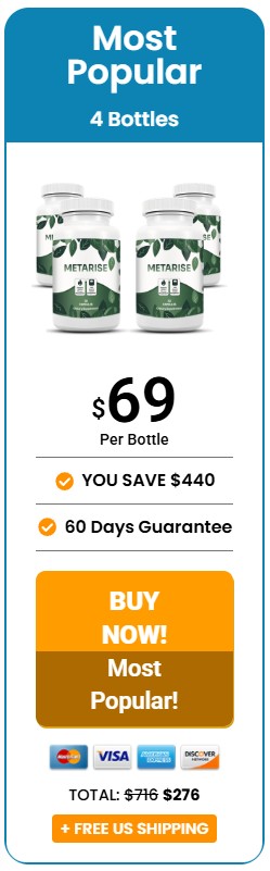 MetaRise 4 Bottle Price